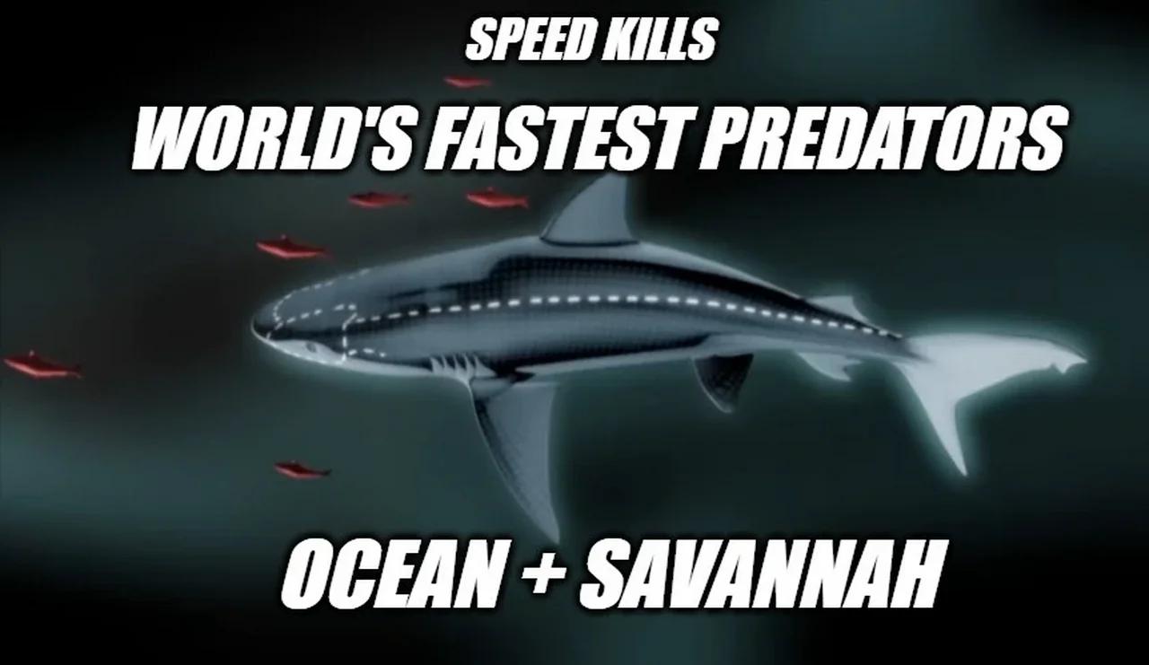 Documentary: Educational: Fastest Predators Prey: Speed Kills Oceans ...