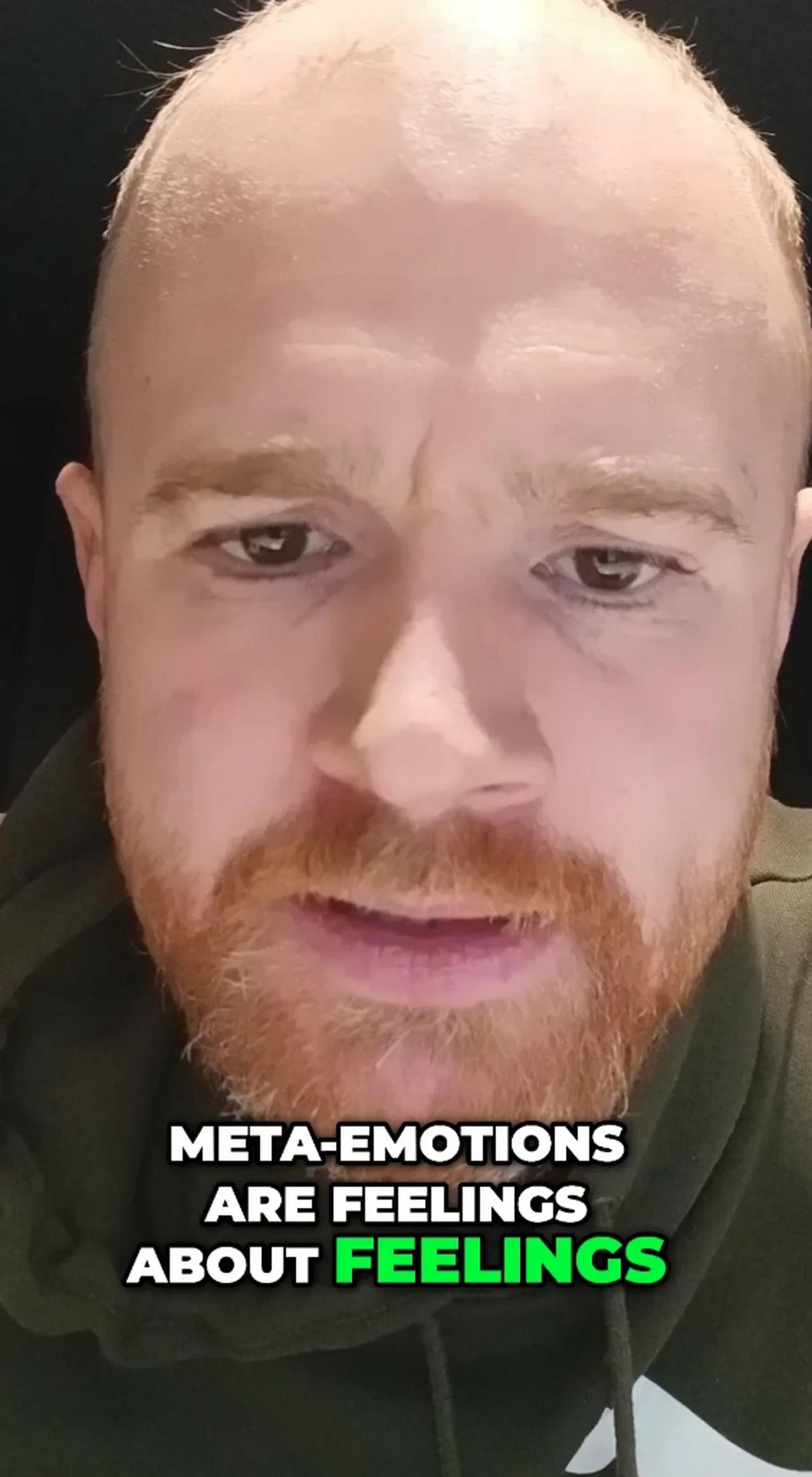 META-EMOTIONS (