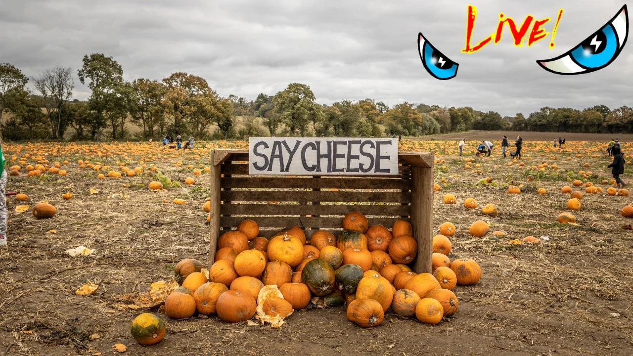 White Rabbit Radio Live | Vice News covers Right Wing Extremism yet ...