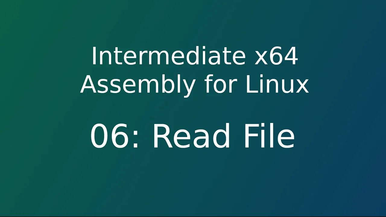 06 x64 asm : Read File