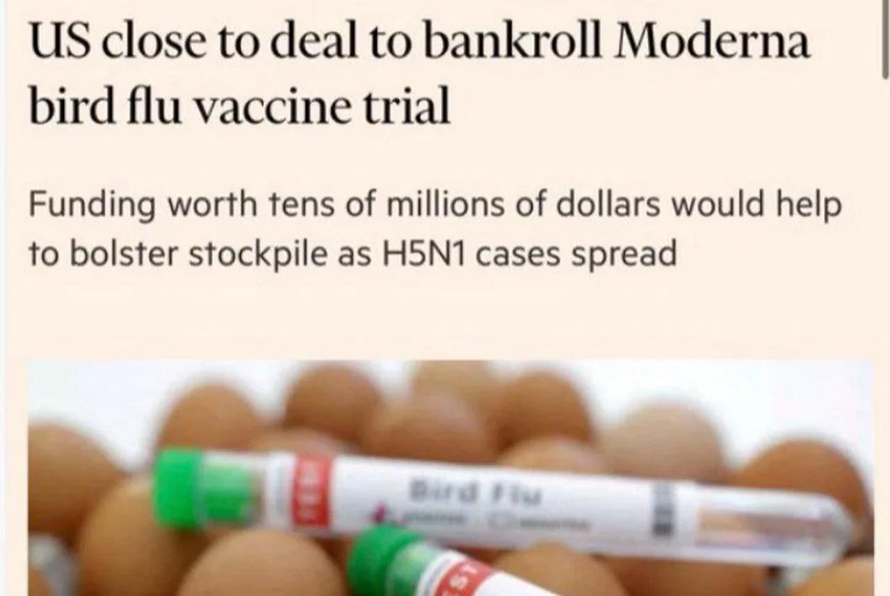 Bird flu vaccines are on the way