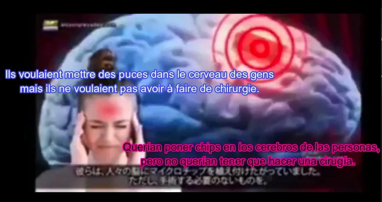 La dénonciatrice de la FEMA, Celeste Solum, explique que PCR est l ...