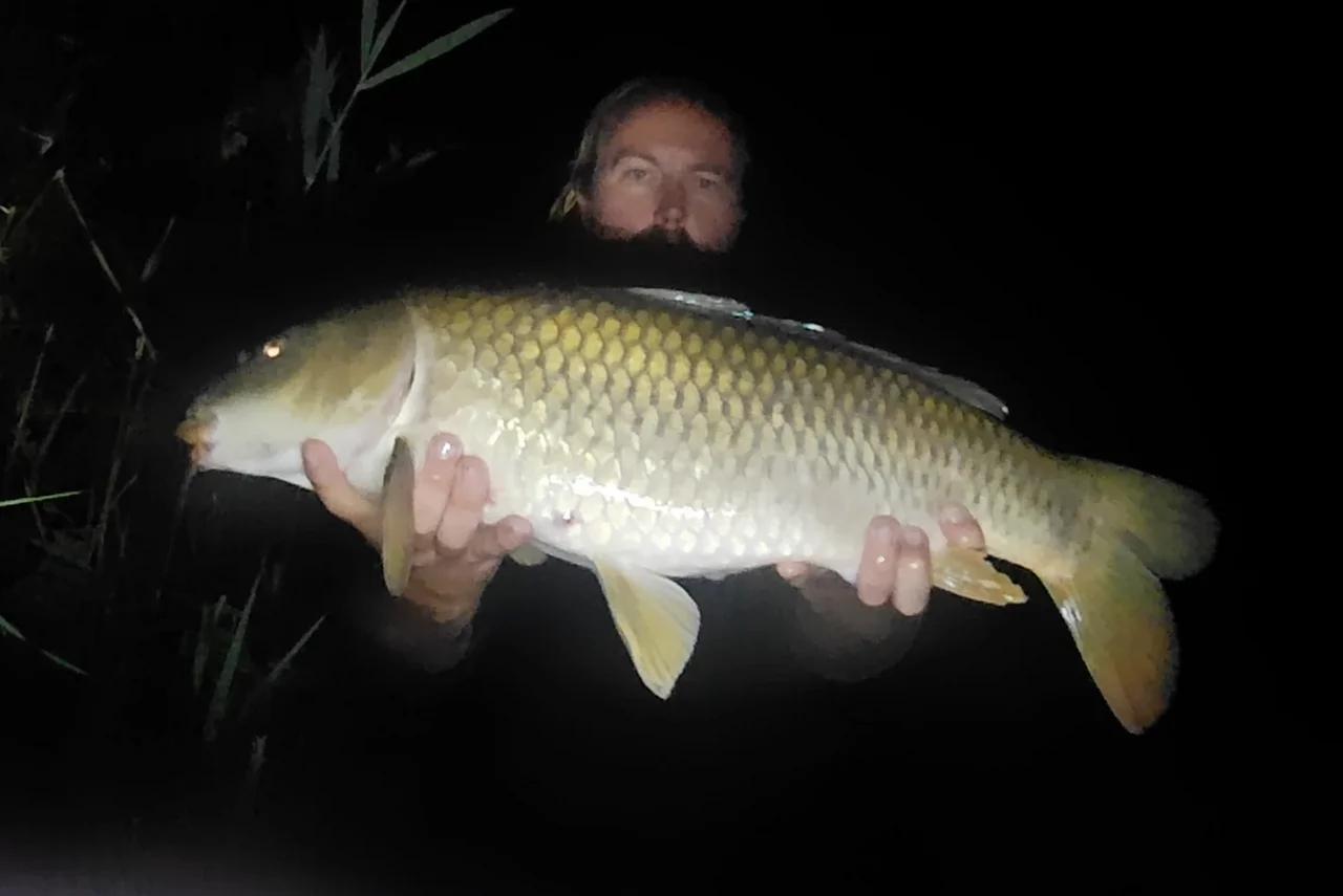 REFLEX BAITS CARP VLOG - EP 1 2022 - BUDE CANAL, CORNWALL