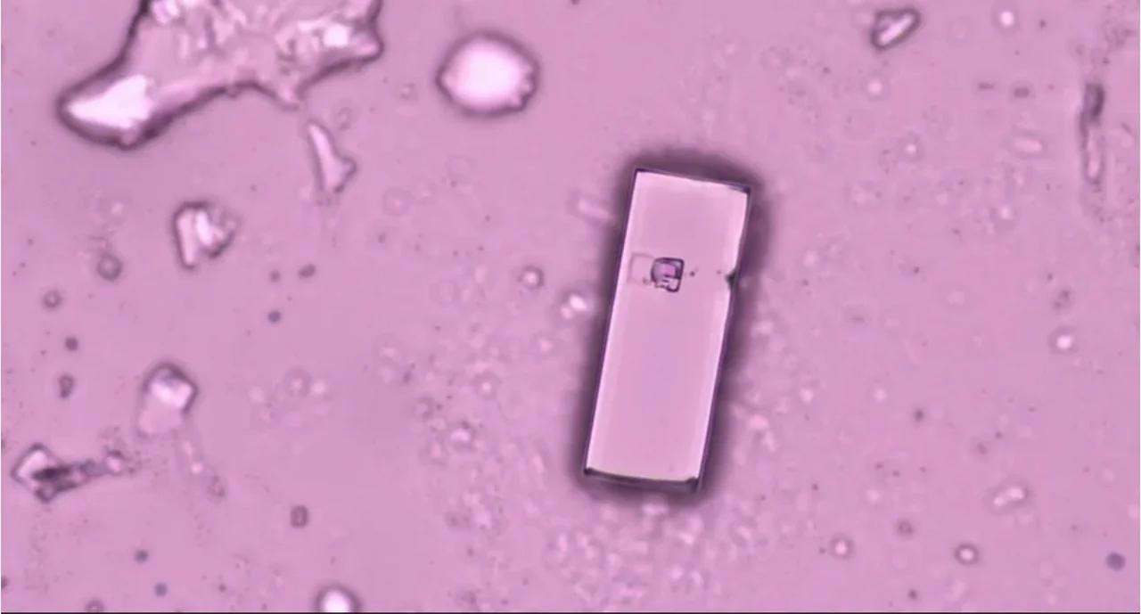 Big Reset Movie: Nanotech in the C19 Injections