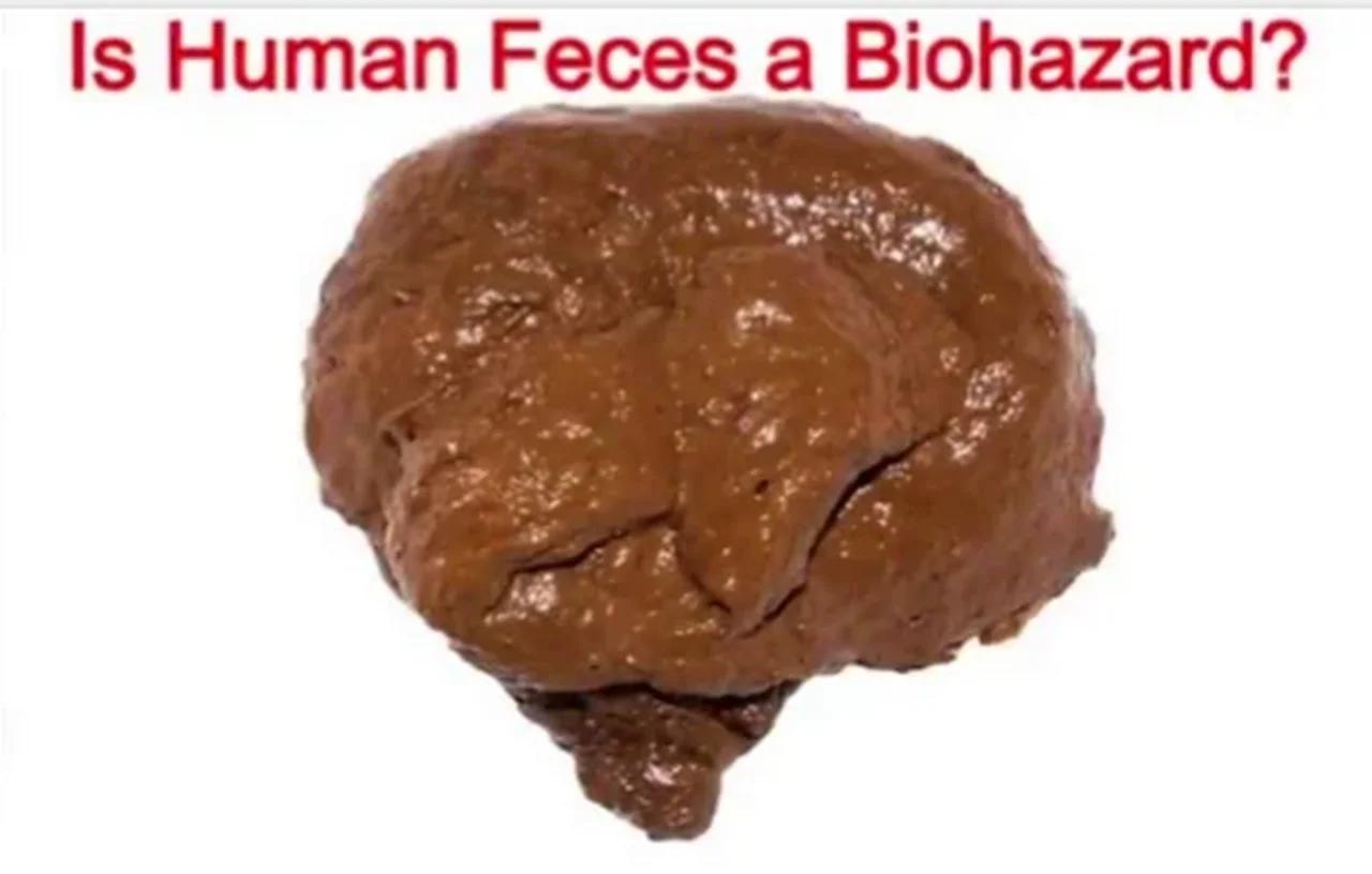 Is Human Feces a Biohazard - By Decanterbury