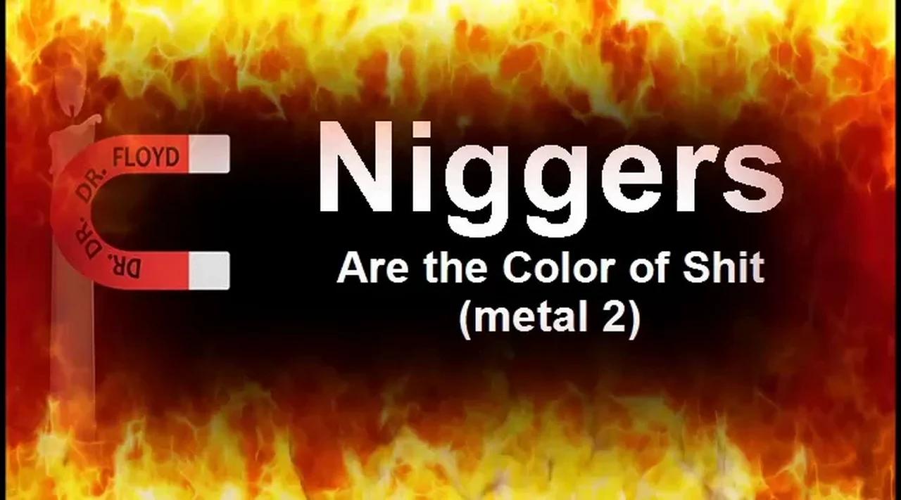 Niggers Are the Color of Shit (metal 2)