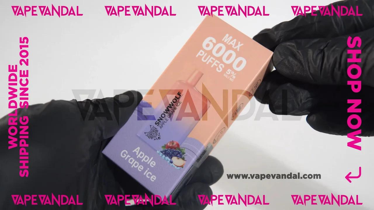 Snowwolf Max 6000 Puffs Disposable Vape Pod Unboxing
