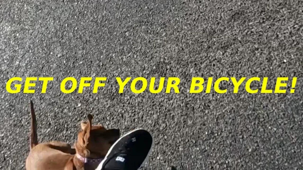 GET OFF YOUR BICYCLE! (how to deal with dogs while cycling) dontdie 