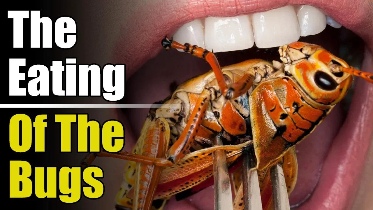 TL;DR - The Eating Of The Bugs