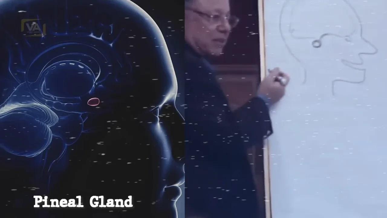 dr-ibrahim-karim-there-s-no-going-back-instant-third-eye-activation