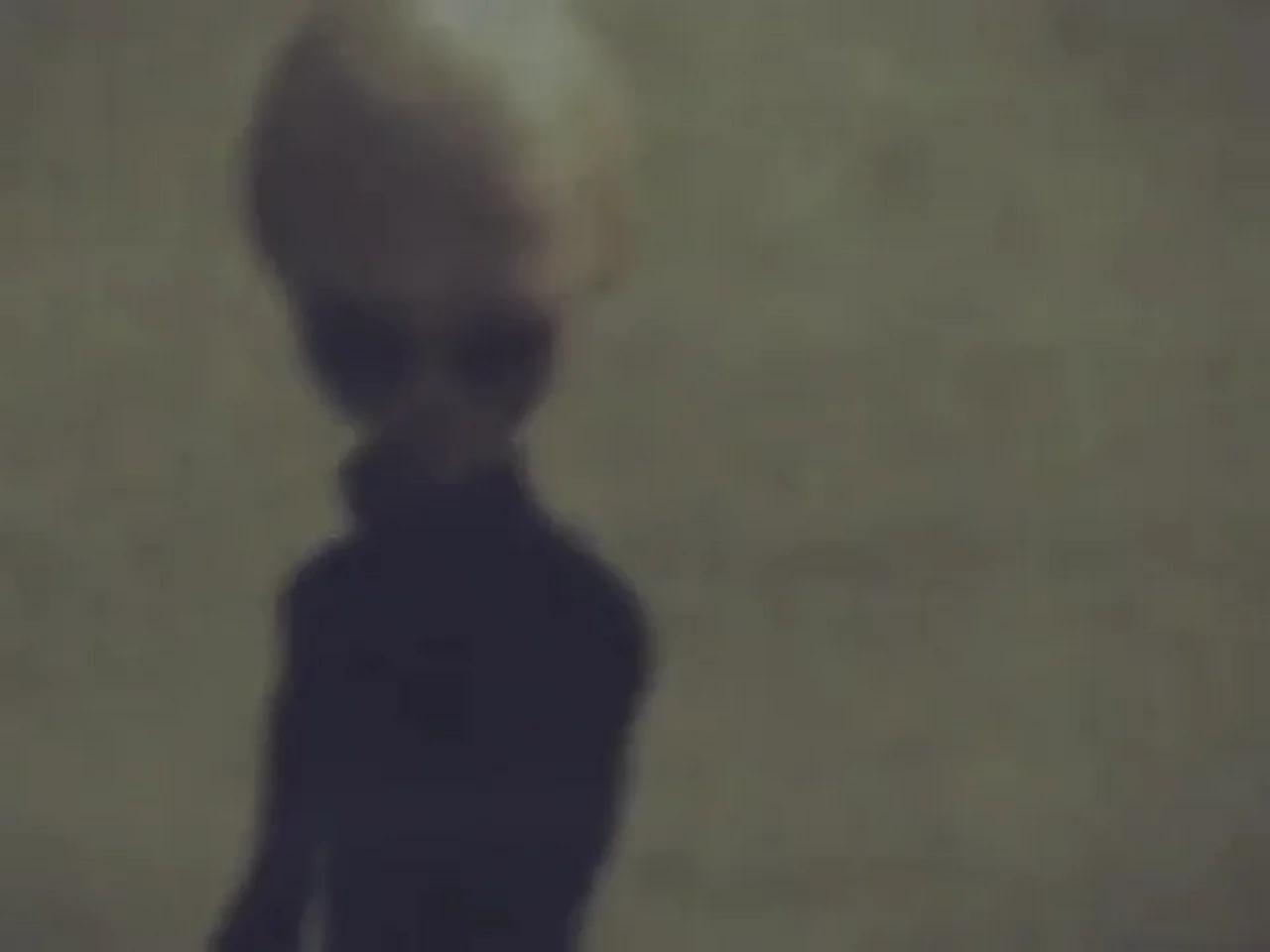 Ausserirdischer von zeta reticuli tape 06 - family vacation