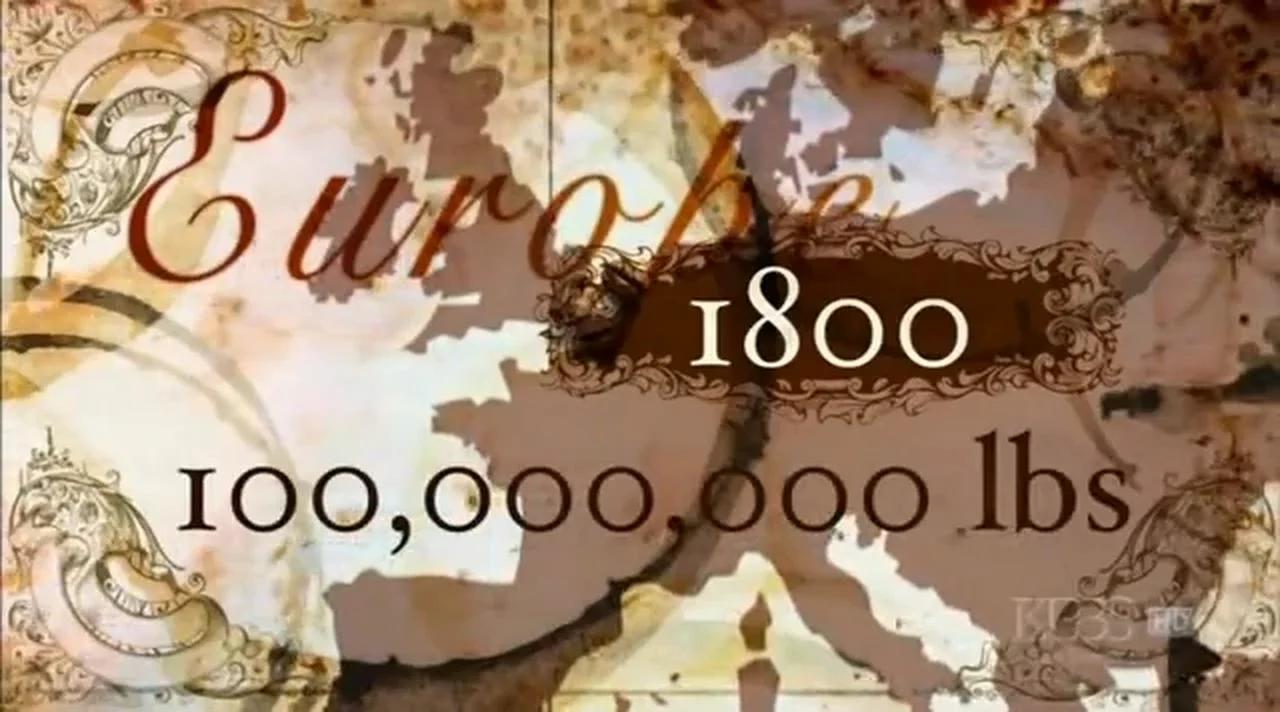Black Coffee The Irresistible Bean Pbs Documentary Black Coffee The Irresistible Bean Pbs Documentary
