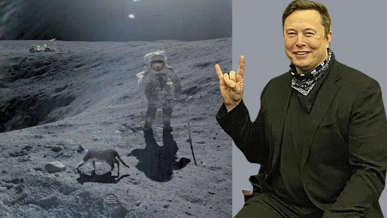 Elon Musk Nous Sommes All S Sur La Lune