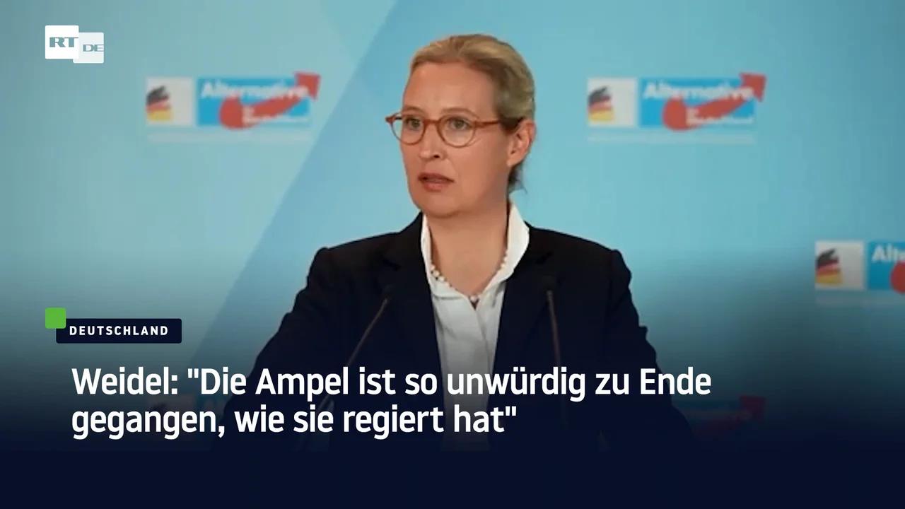 ⁣Weidel: 