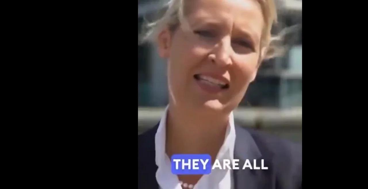 AfD-Chefin Alice Weidel spricht Klartext: &amp;quot;Deutschland fest in der Hand ...