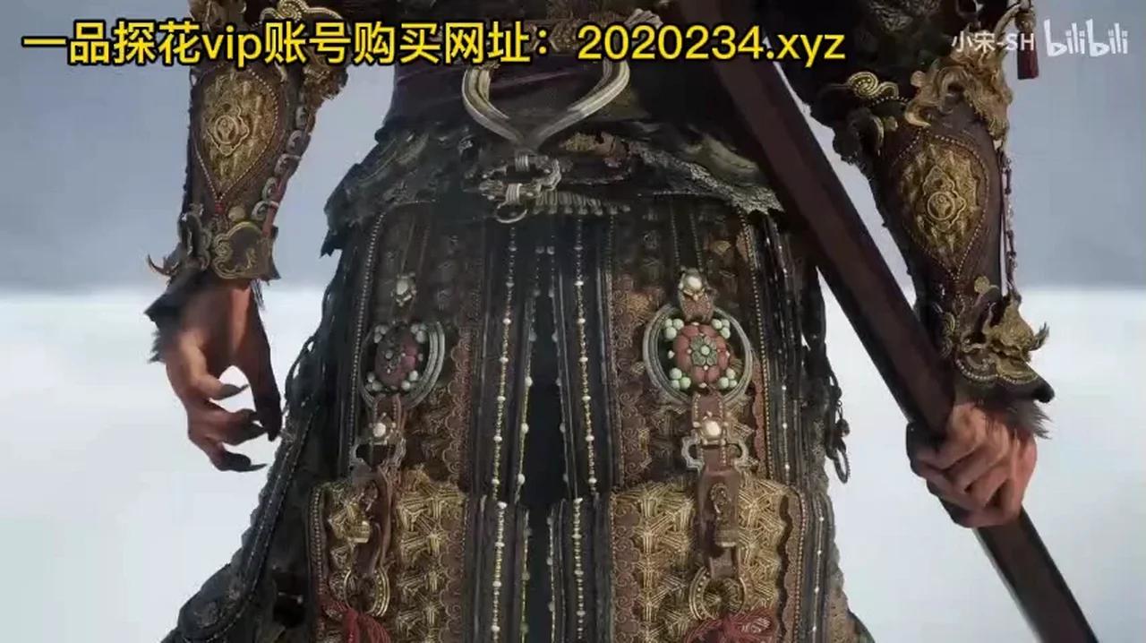 一品探花VIP会员账号获取途径