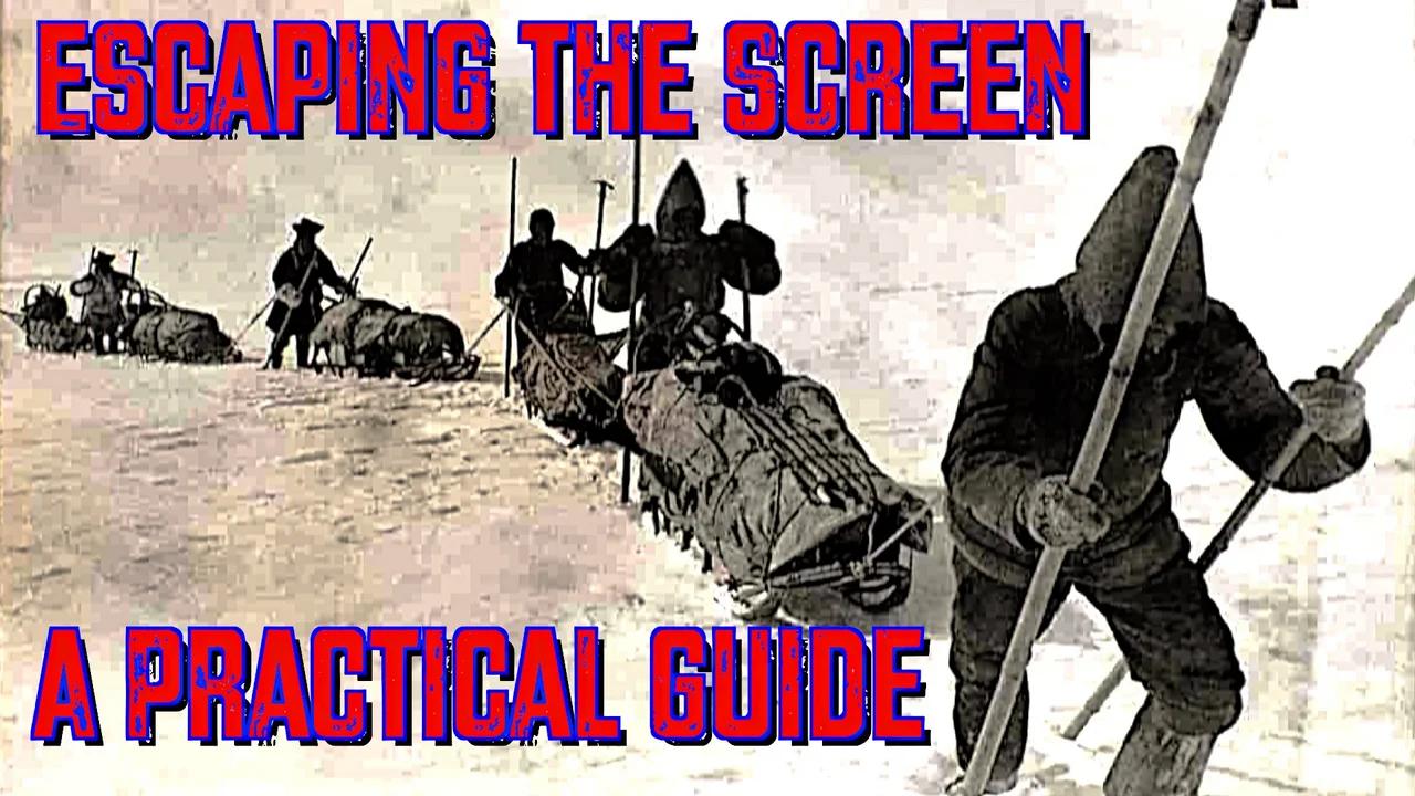Escaping the Screen: A Practical Guide (Jonathan Haidt - The Anxious ...
