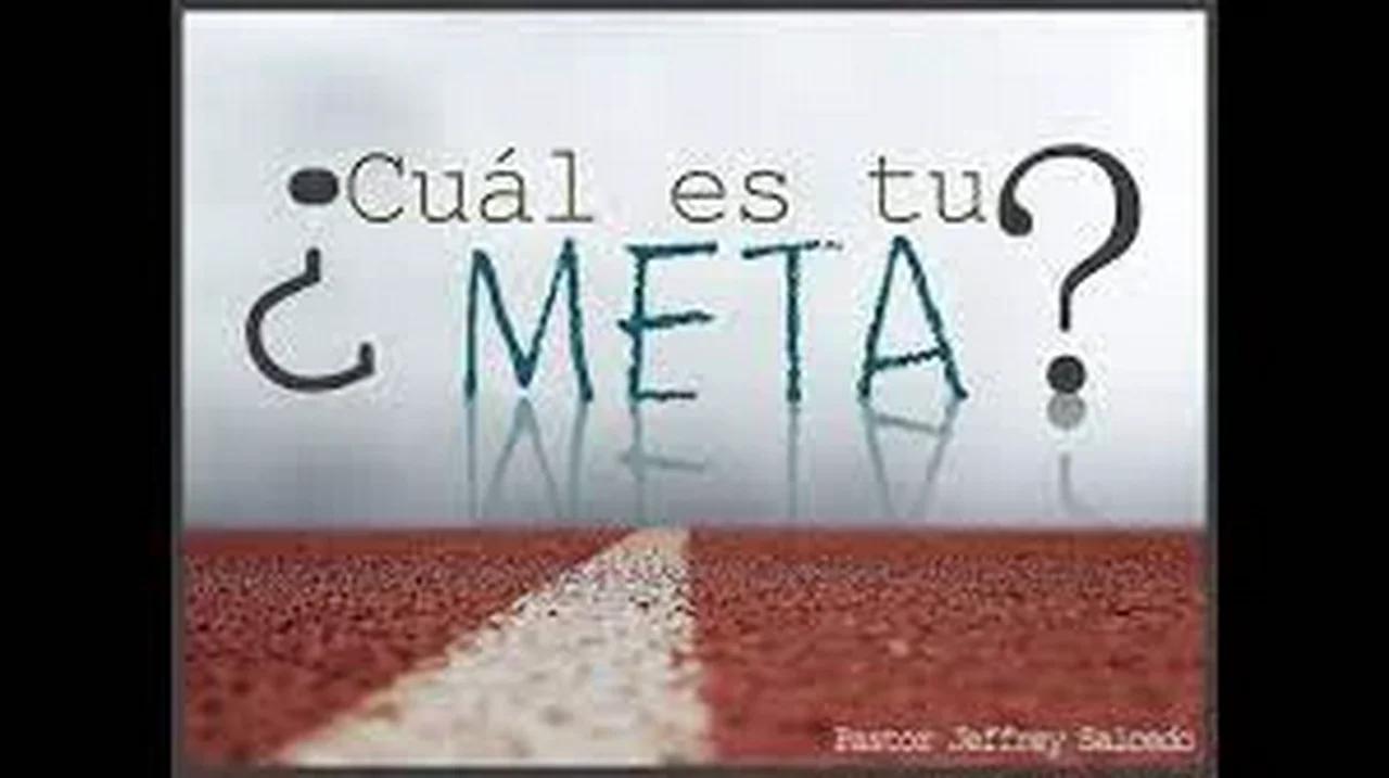 CUAL ES TU META