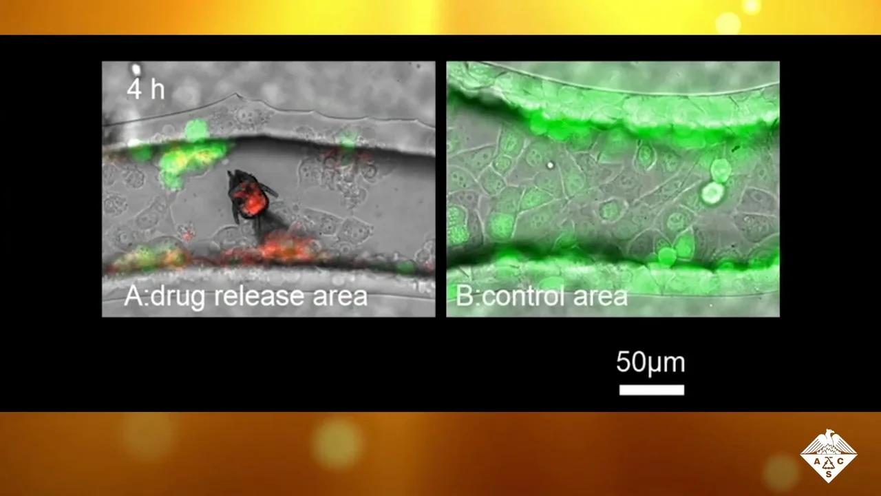 ShapeMorphing Microrobots Deliver Drugs to Cancer Cells