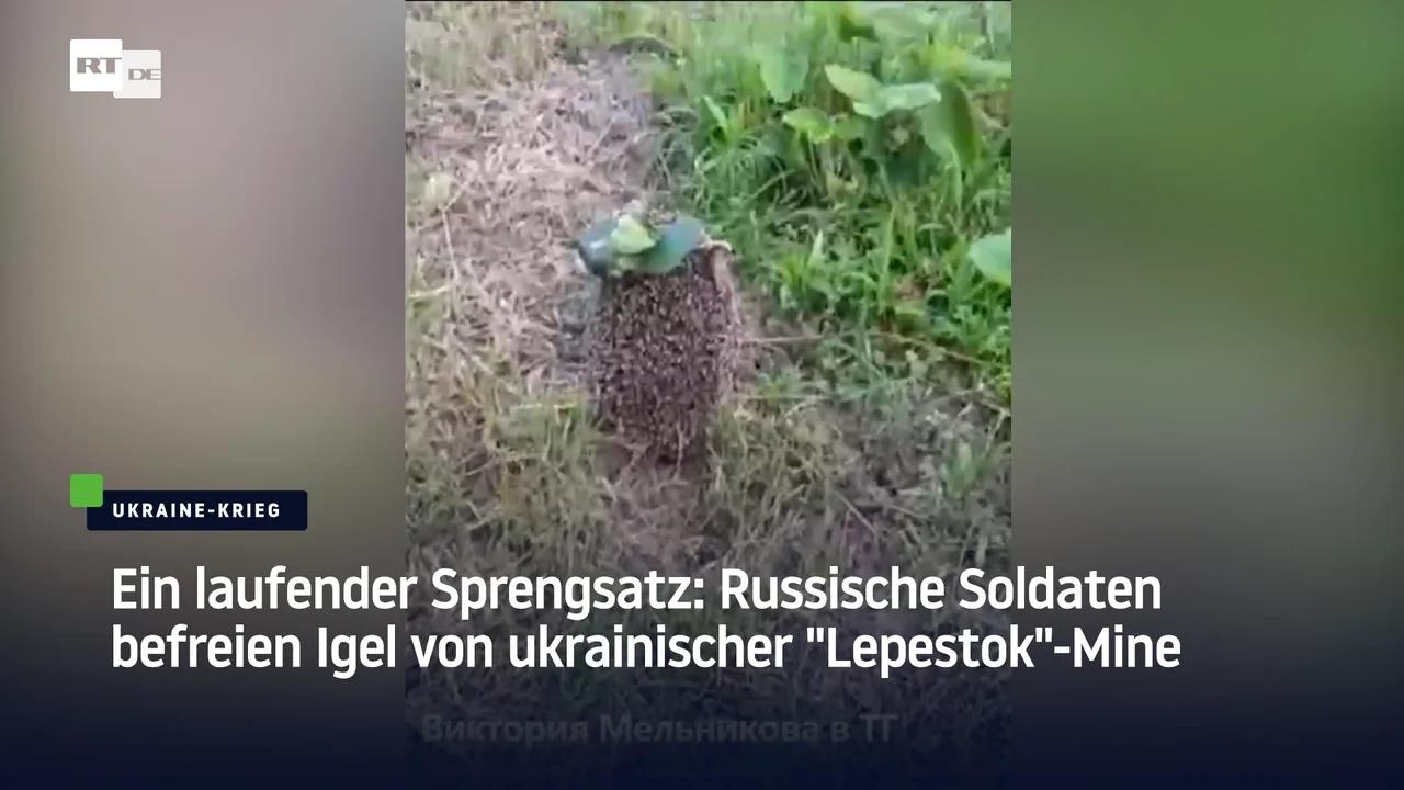 "Dieser Fund Verändert Alles!" Drohnenfund Mit Sprengsatz: Russische Militärdrohne Über Nato Gebiet – Die Analyse! - 98e8ns4