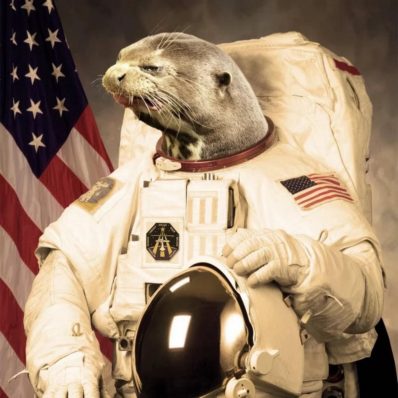 @spaceotter16