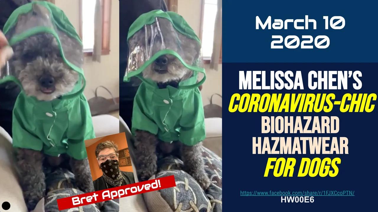 Melissa Chen ’s Coronavirus-chic biohazard Hazmatwear for dogs [Mar 10 ...