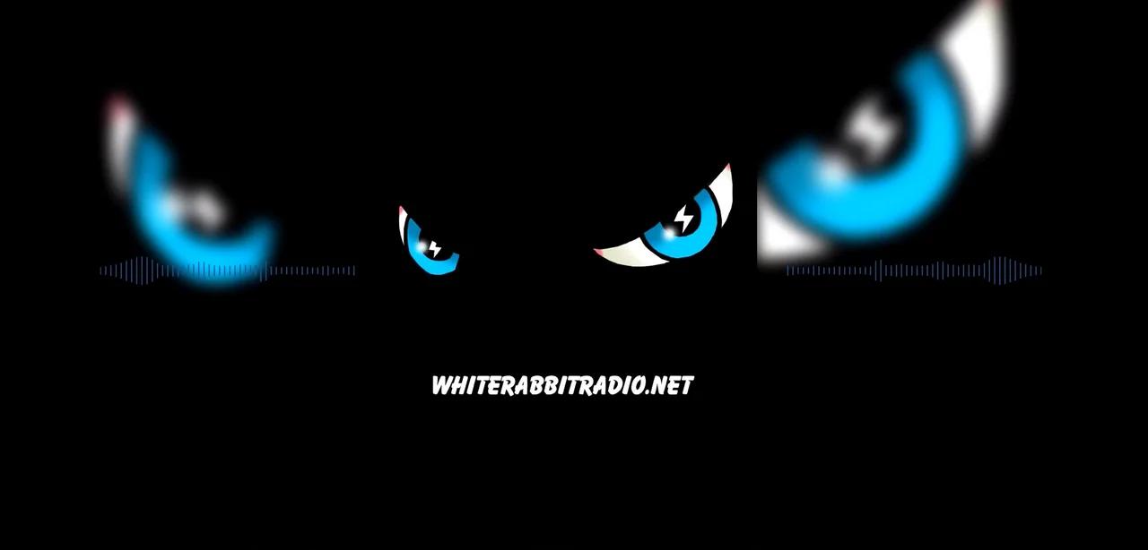 Tim Murdock | White Rabbit Radio