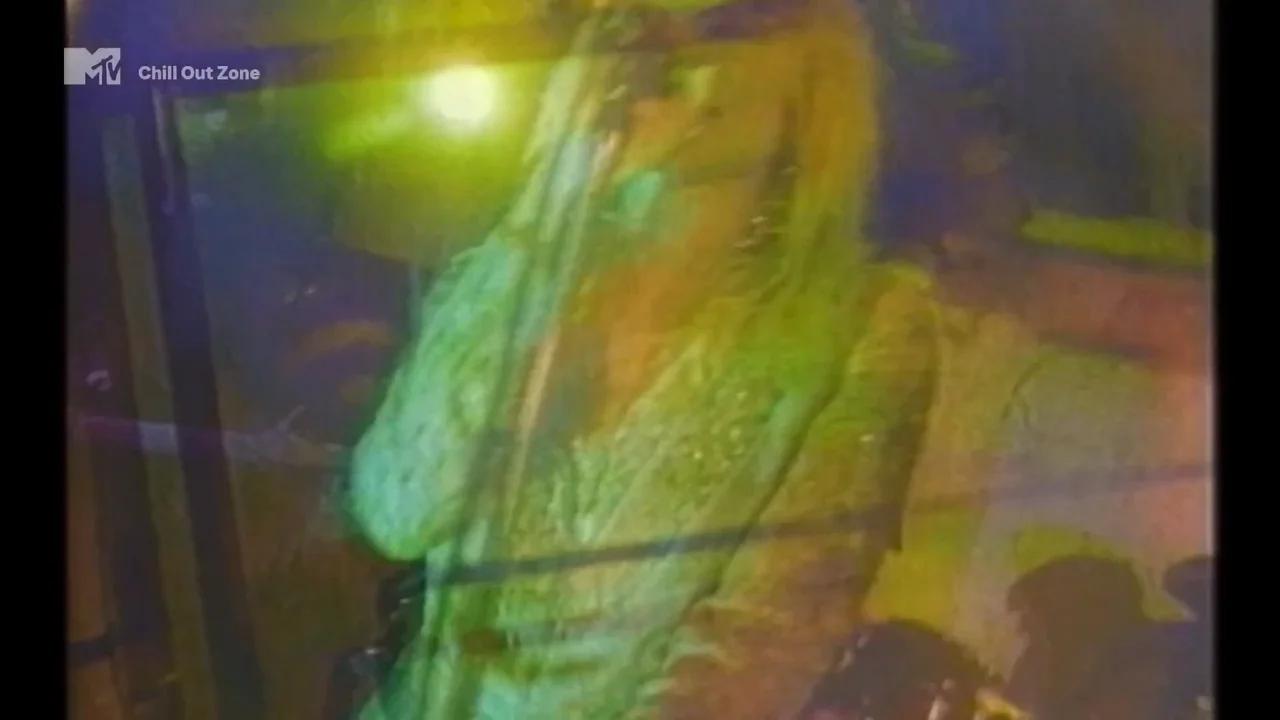 Sonic Youth - Beauty lies in the Eye (HD Rip)