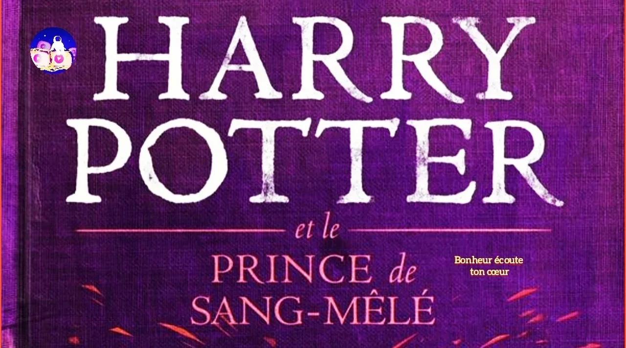 Harry Potter et le Prince de Sang Mêlé (6) partie 1 /2 Livre audio
