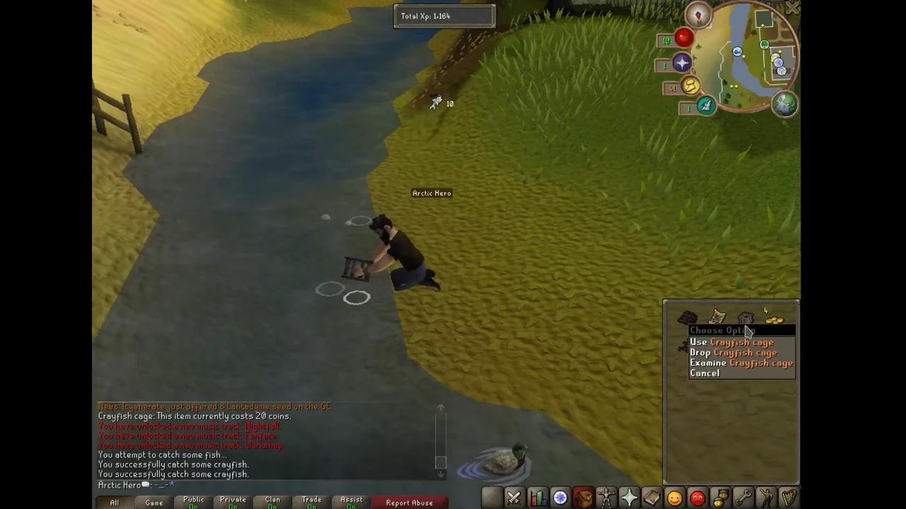 2009scape - Getting Started Guide with Jobs