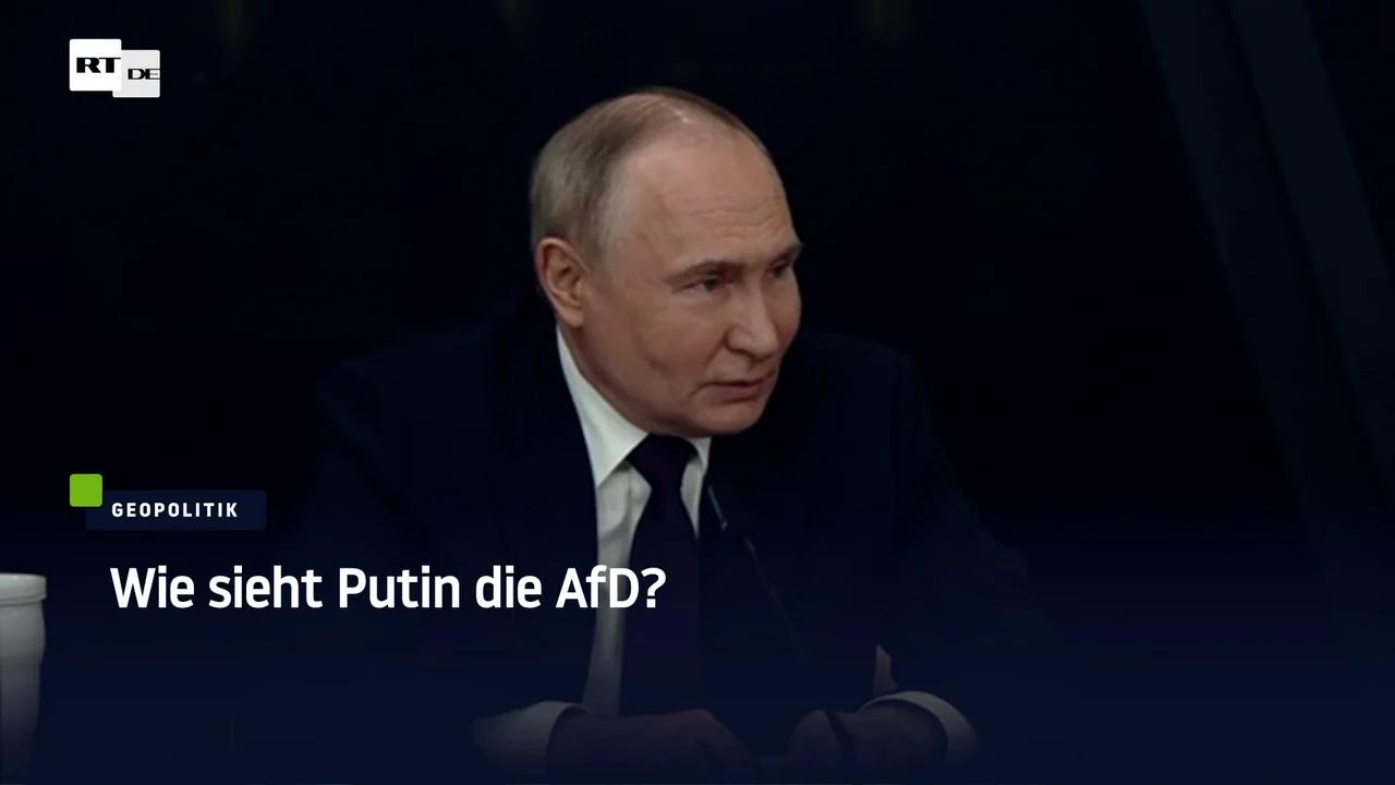 ⁣Wie sieht Putin die AfD?