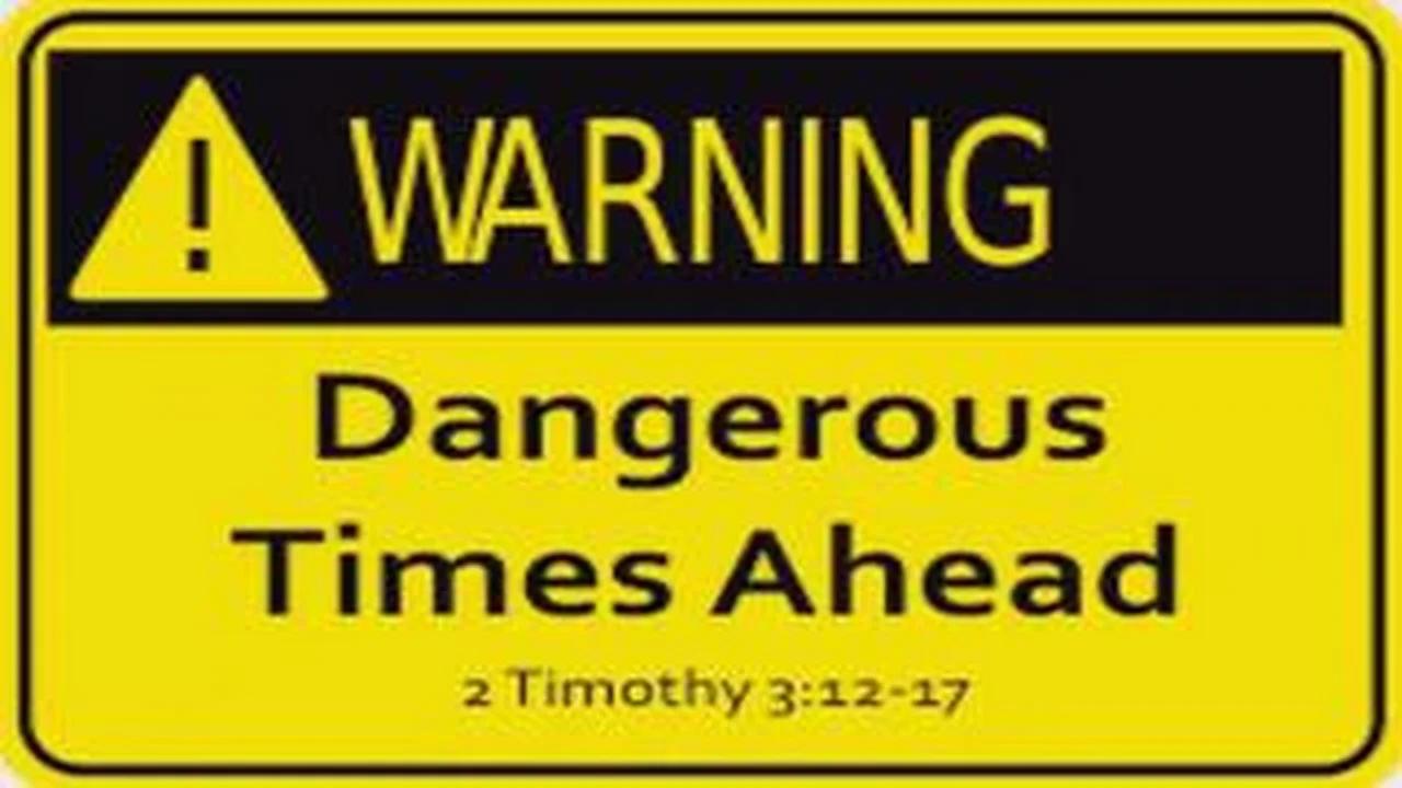 Why Do Bugs Have Numbers On Them Wallytron101 Wallytron101