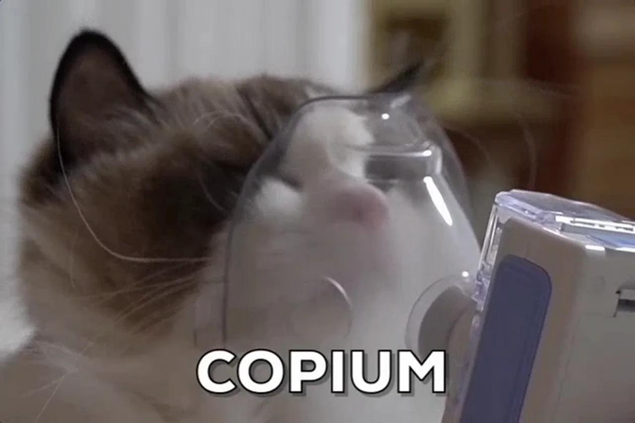 based-cat-07-copium-cat-meme