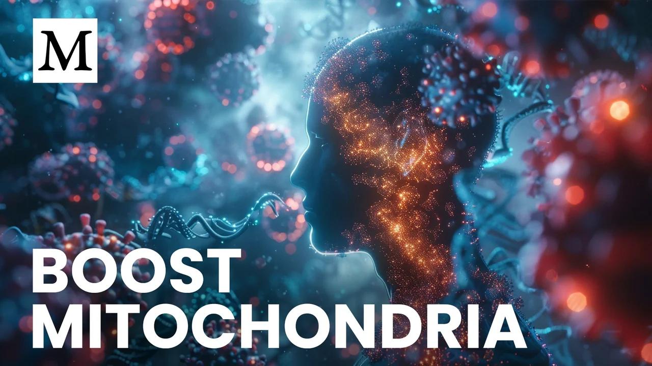 HOW DO YOU IMPROVE YOUR MITOCHONDRIA intelligence overview