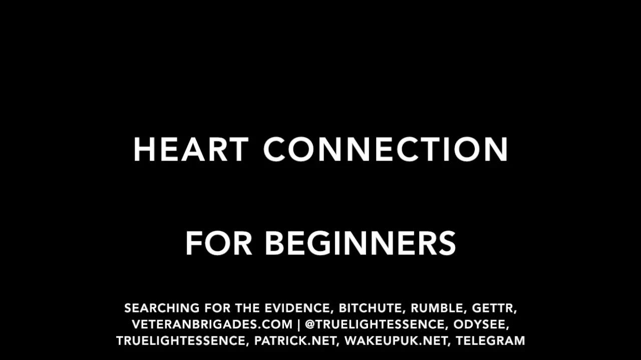 Heart Connection For Beginners 0446