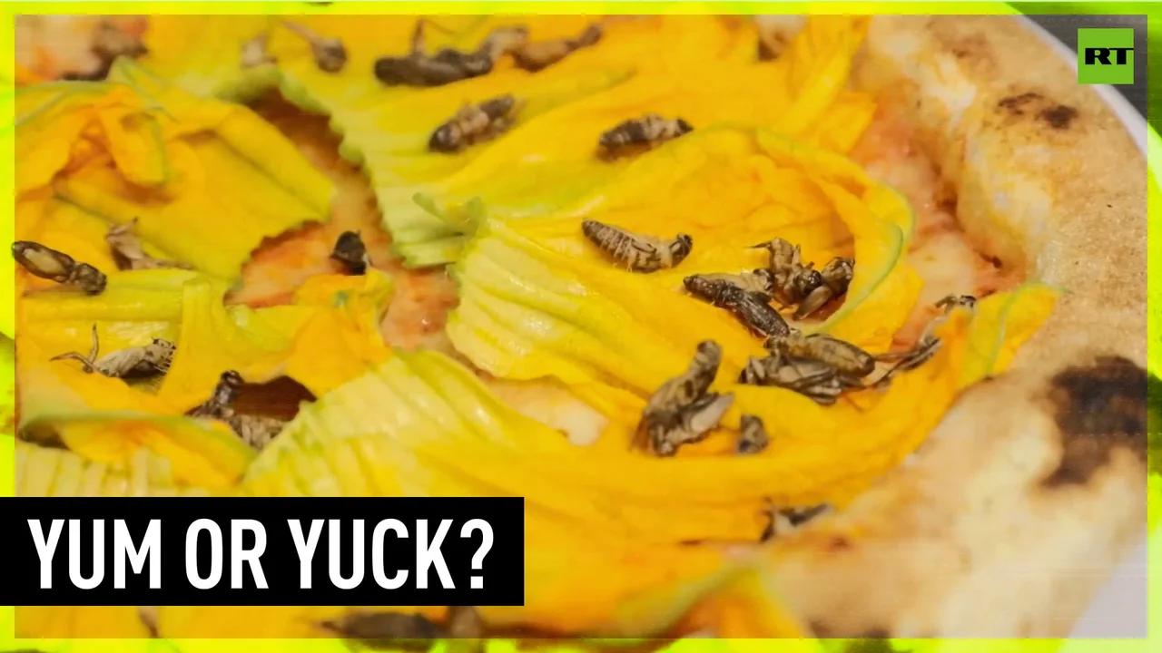 Traditional Italian dish gets CRICKETS as topping option