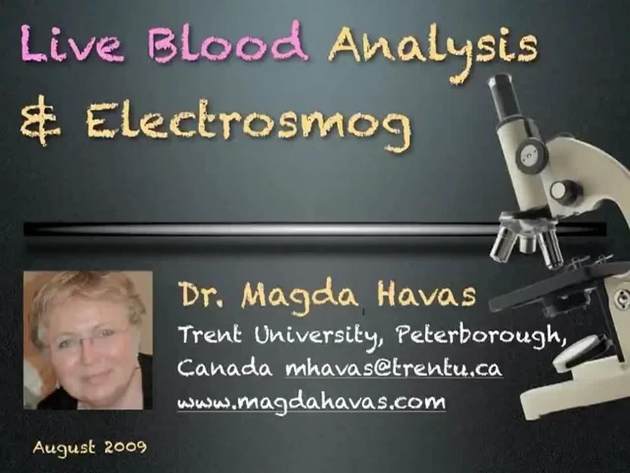 Dr Magda Havas Live Blood Electrosmog