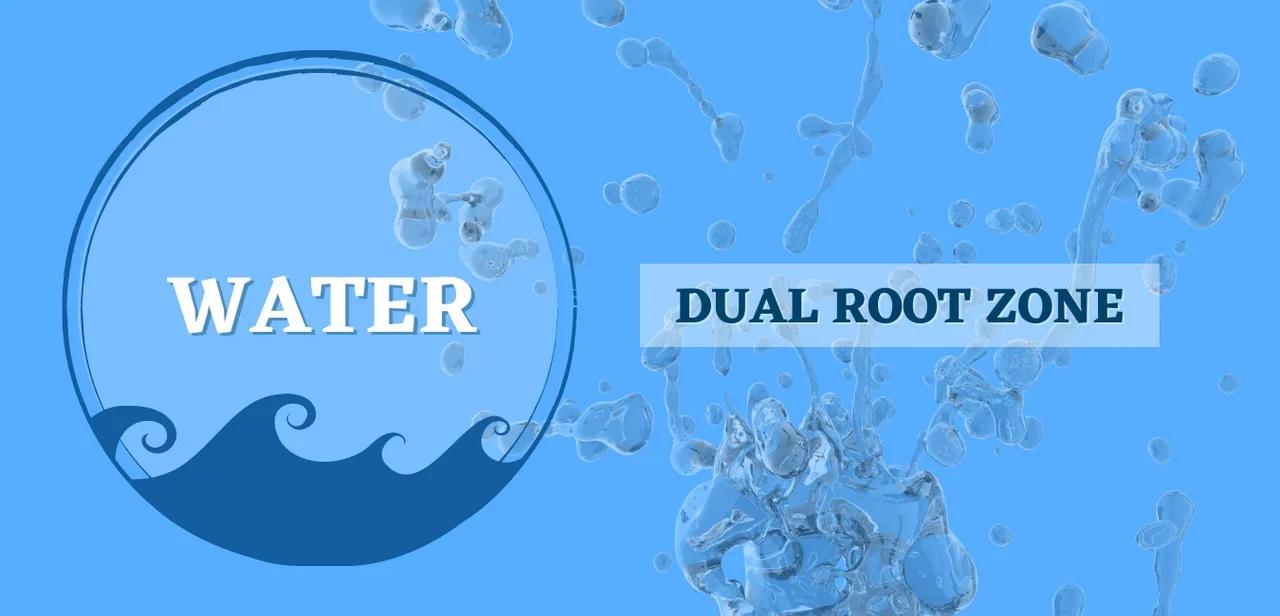 Water: Dual Root Zone