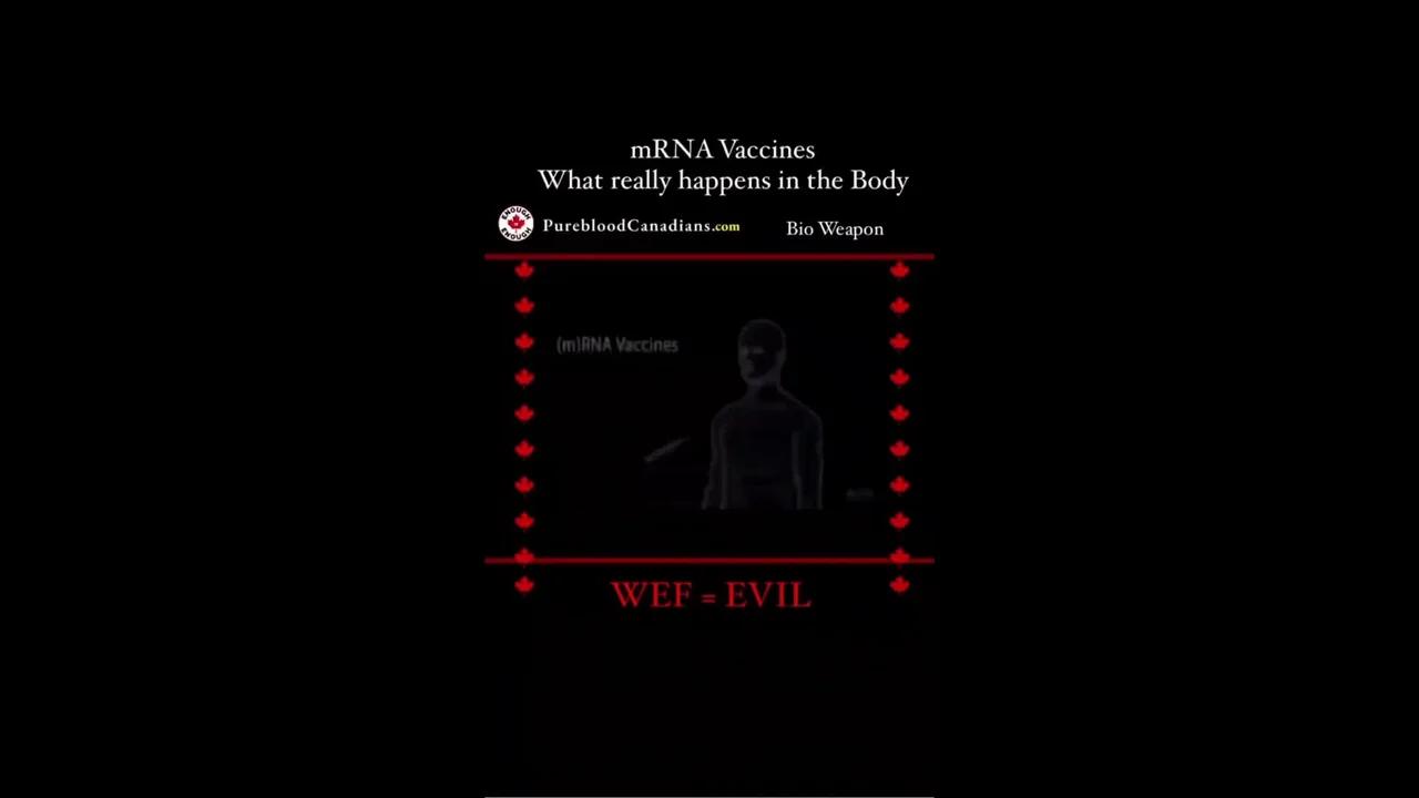 illuminatibot What really happens when you take an mRNA shot