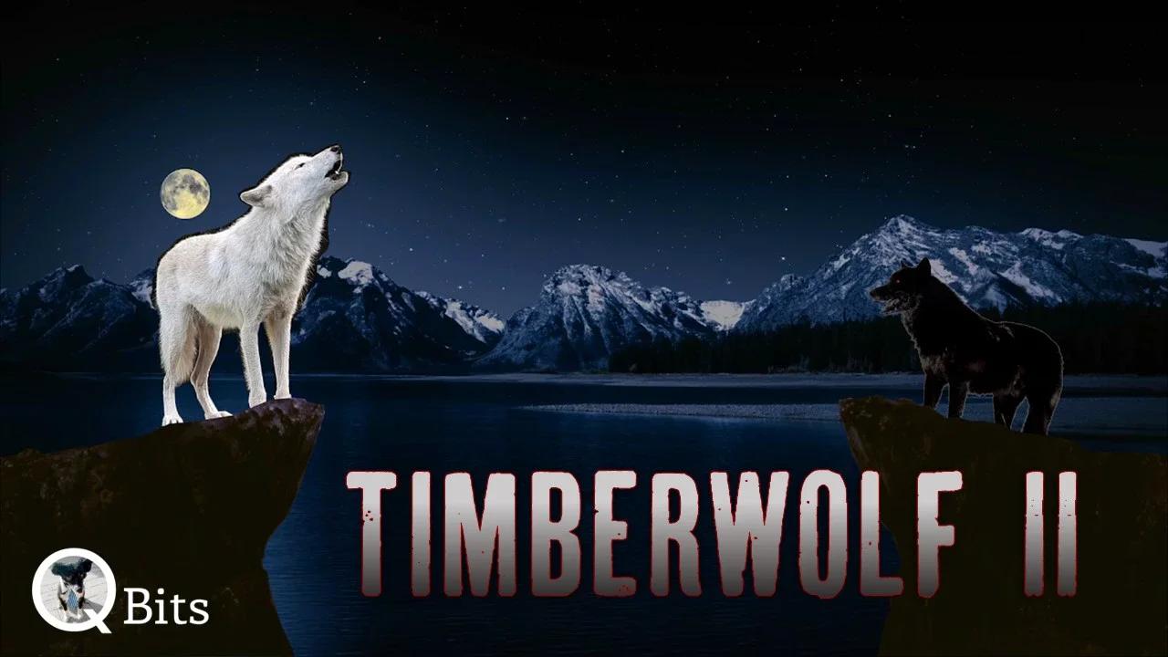 #562 // TIMBERWOLF II