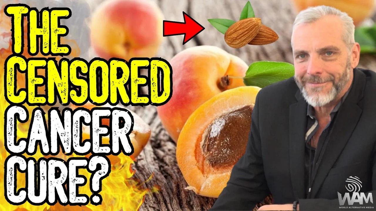 THE CENSORED CANCER CURE The Shocking Truth About Apricot Seeds From Cyanide To Amygdalin