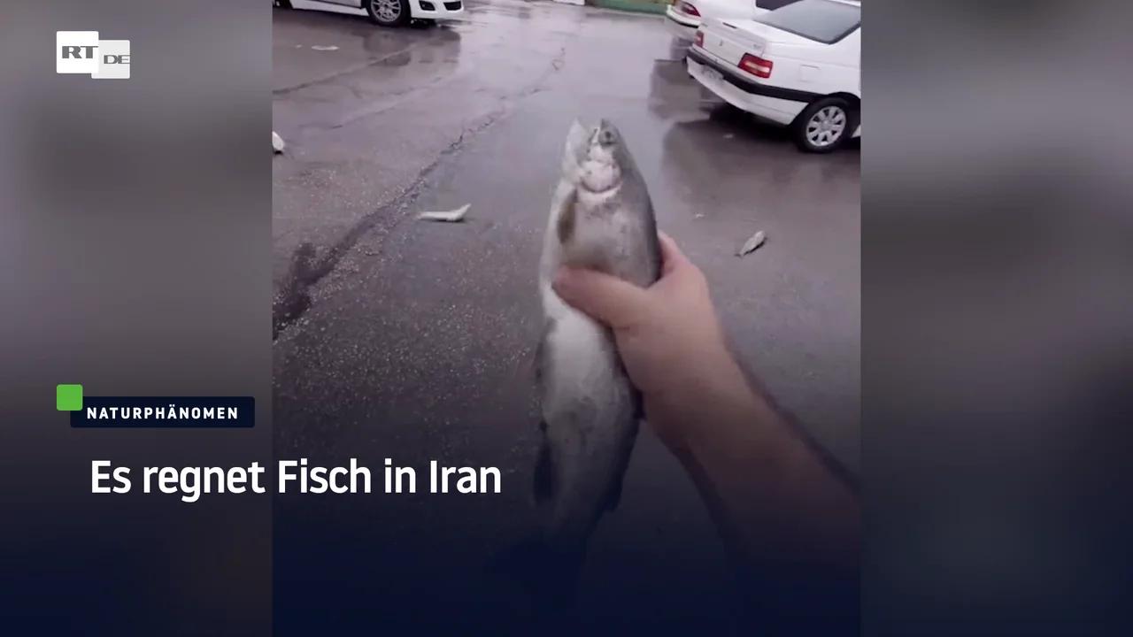 ⁣Es regnet Fisch in Iran