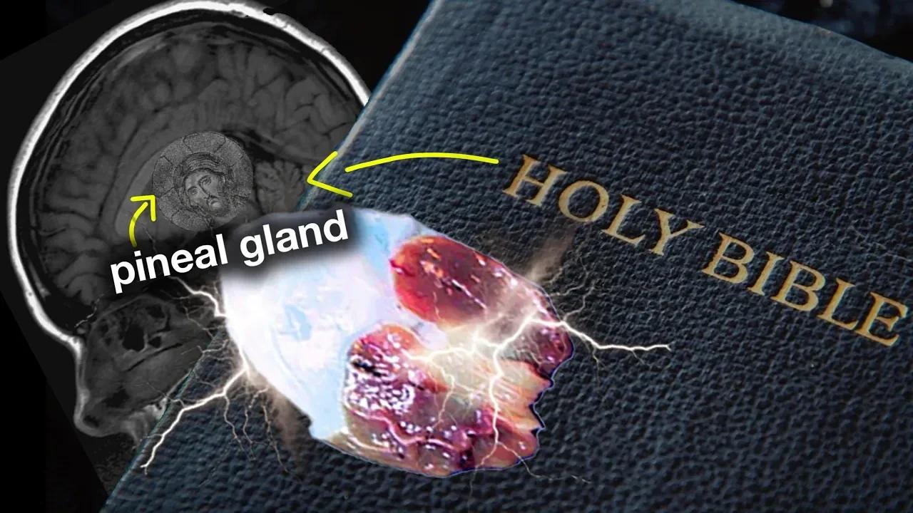 🔴The Truth about The Bible Gives PRECISE INSTRUCTIONS About the PINEAL ...