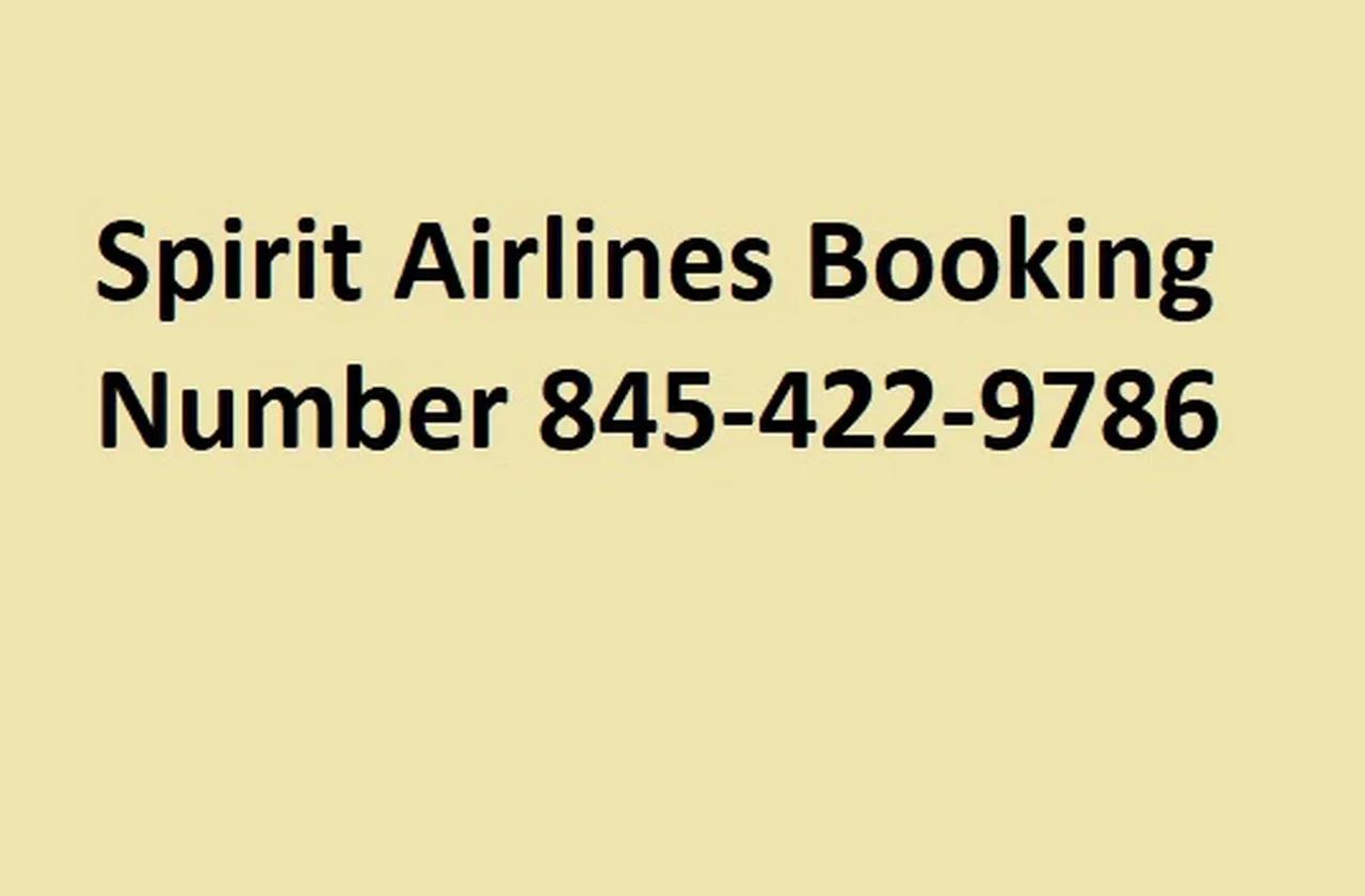 how to find flight number spirit