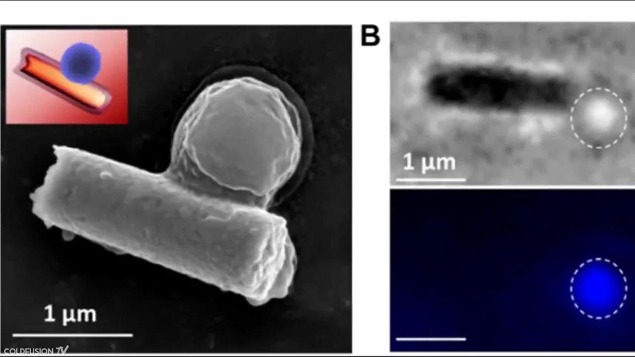 Smallest Robots Ever Made - Micro-robotics (Nanobots)