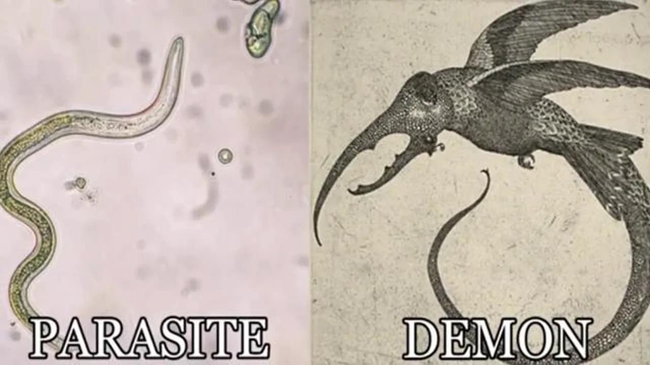 Alpha Talkz- Parasites Are Demons