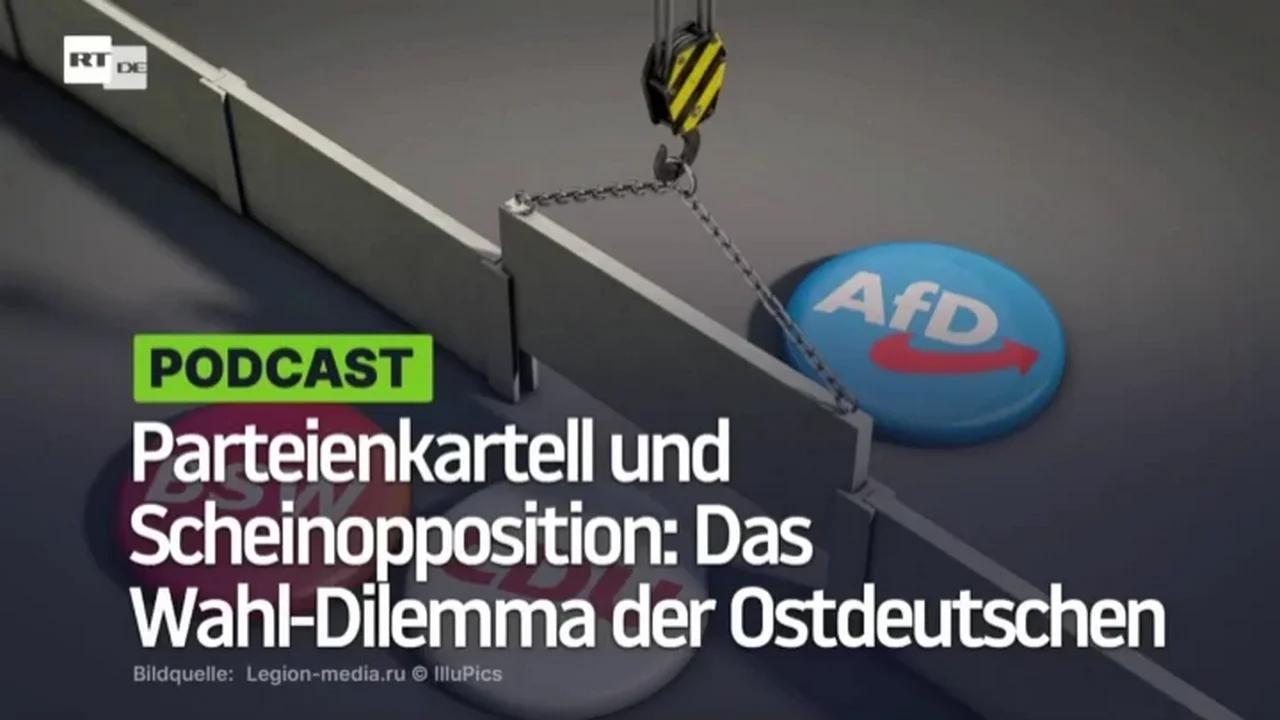 ⁣Parteienkartell und Scheinopposition: Das Wahl-Dilemma der Ostdeutschen