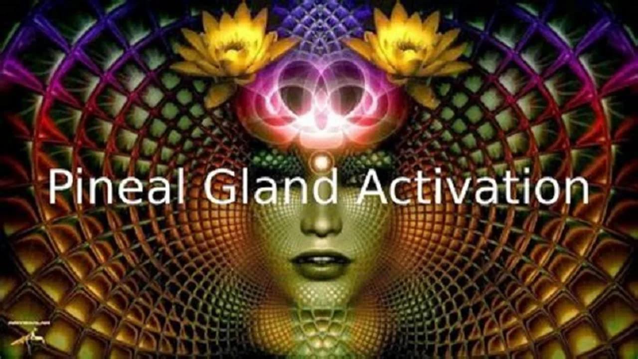 Pineal Gland Activation By Dr Joe Dispenza 