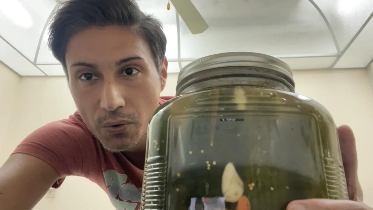 Fermenting Cucumbers/Making Pickles | Fermenting Journey