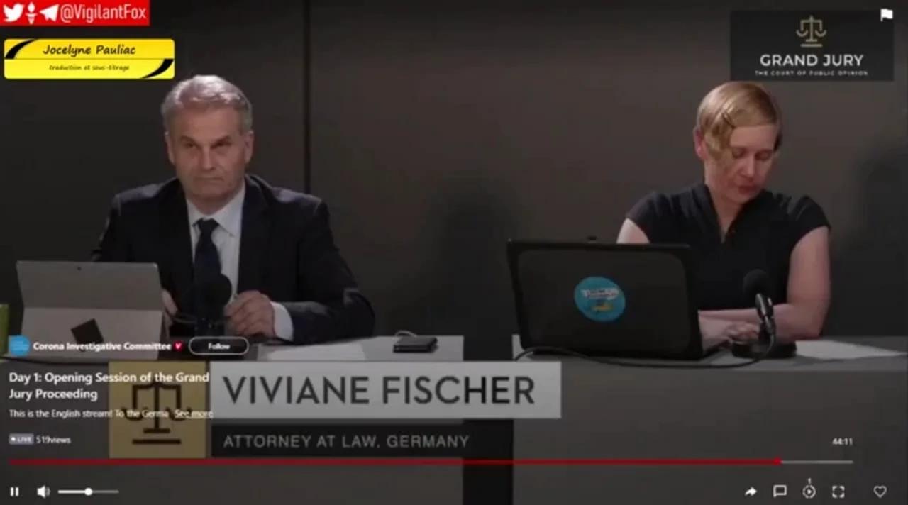 Reiner Fuellmich S adresse Au Grand Jury VOSTF